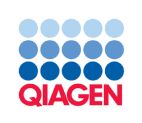 QIAGEN - לוגו סימן מסחר רשום