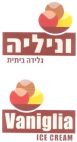 וניליה גלידה ביתית - לוגו סימן מסחר
