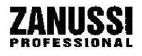 ZANUSI PROFESSIONAL - לוגו סימן מסחר רשום