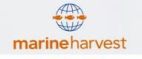 marineharvest - לוגו סימן מסחר