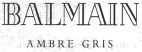 BALMAIN AMBRE GRIS - לוגו סימן מסחר רשום