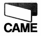 CAME - לוגו סימן מסחר רשום