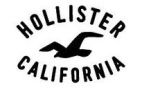 HOLLISTER CALIFORNIA - לוגו סימן מסחר רשום