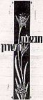 חבצלת השרון - לוגו סימן מסחר