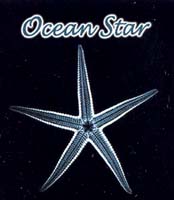 Ocean Star - לוגו סימן מסחר