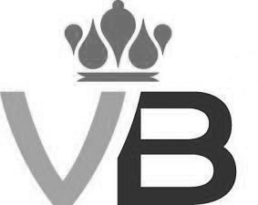 VB - לוגו סימן מסחר רשום
