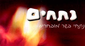 נתחים נתחי בשר מובחרים - לוגו סימן מסחר