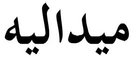 ميداليه - לוגו סימן מסחר רשום