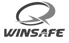 WINSAFE - לוגו סימן מסחר
