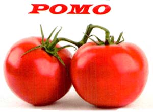 POMO - לוגו סימן מסחר רשום