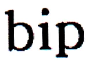 bip - לוגו סימן מסחר