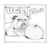 UGLI FRUIT - לוגו סימן מסחר רשום
