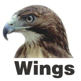Wings - לוגו סימן מסחר רשום