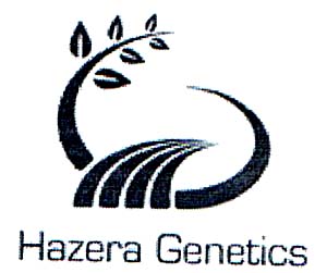 Hazera Genetics - לוגו סימן מסחר רשום