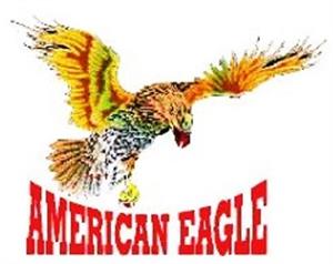 AMERICAN EAGLE - לוגו סימן מסחר רשום