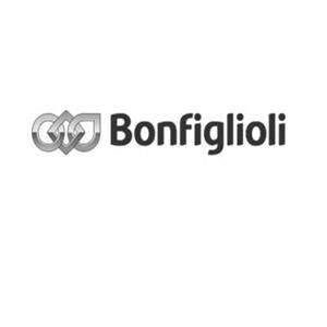 Bonfiglioli - לוגו סימן מסחר רשום
