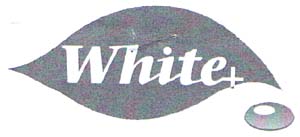 White + - לוגו סימן מסחר