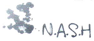 N.A.S.H - לוגו סימן מסחר