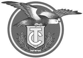 CT - לוגו סימן מסחר רשום