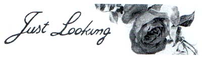 just looking - לוגו סימן מסחר