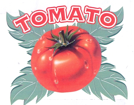 TOMATO - לוגו סימן מסחר רשום