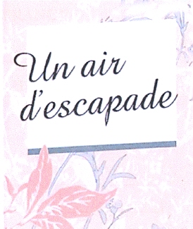 un air d'escapade - לוגו סימן מסחר