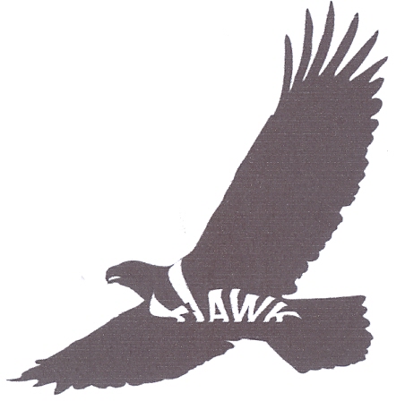HAWK - לוגו סימן מסחר