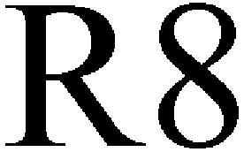 R8 - לוגו סימן מסחר רשום