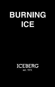 BURNING ICE ICEBERG - לוגו סימן מסחר