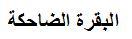 البقرة الضاحكة - לוגו סימן מסחר רשום