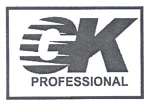 GK PROFESSIONAL - לוגו סימן מסחר