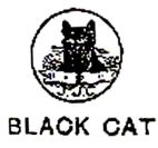 BLACK CAT - לוגו סימן מסחר