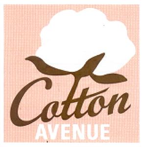 Cotton AVENUE - לוגו סימן מסחר רשום