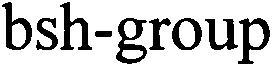 bsh-group - לוגו סימן מסחר רשום