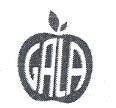 GALA - לוגו סימן מסחר
