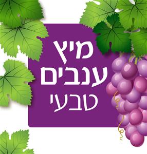 מיץ ענבים טבעי - לוגו סימן מסחר רשום
