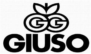 GG GIUSO - לוגו סימן מסחר רשום