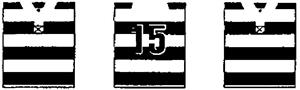 15 - לוגו סימן מסחר