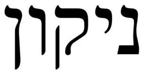ניקון - לוגו סימן מסחר רשום