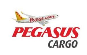 PEGASUS CARGO - לוגו סימן מסחר רשום