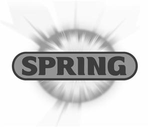 spring - לוגו סימן מסחר רשום