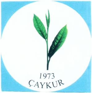 ÇAYKUR 1973 - לוגו סימן מסחר