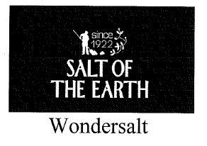 since 1922 SALT OF THE EARTH Wondersalt - לוגו סימן מסחר