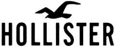 HOLLISTER - לוגו סימן מסחר רשום