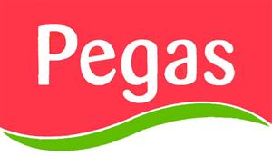 Pegas - לוגו סימן מסחר
