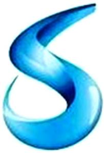 S - לוגו סימן מסחר רשום