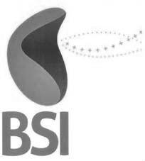 BSI - לוגו סימן מסחר