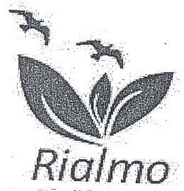 Rialmo - לוגו סימן מסחר