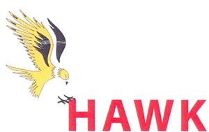 HAWK - לוגו סימן מסחר