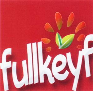 fullkeyf - לוגו סימן מסחר